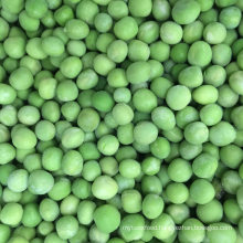 IQF Frozen Green Peas, Garden Peas